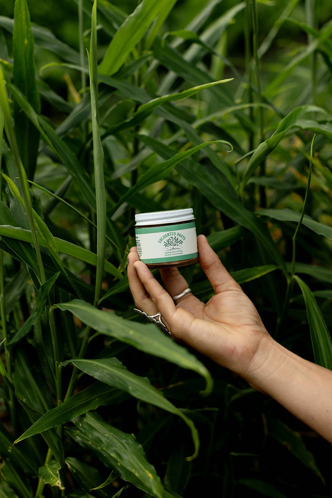 Among the Oaks Herb Farm - Wholesale Loose Tea - Enchanted Roots - Ashwagandha Chai Herbal Tea