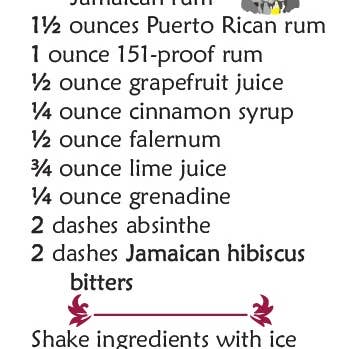 High Desert Botanicals - Wholesale DIY Drink Kit - Jamaican Hibiscus - Bitters Kit6