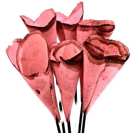 Botanico Ltd. – wholesale Artificial flowers – Wood Cones2