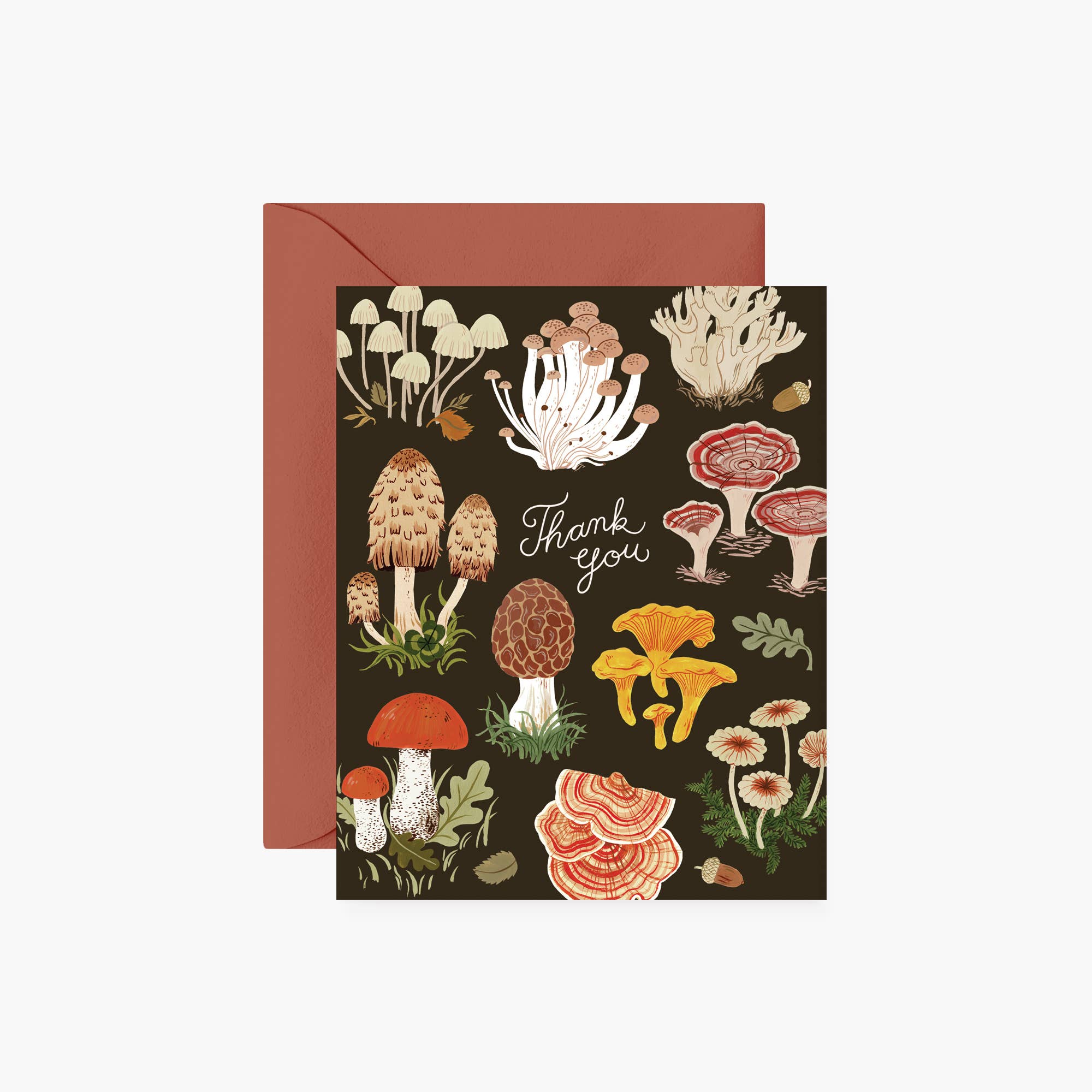 Botanica Paper Co. - Wholesale Thank You Card - MUSHROOMS | thank you card