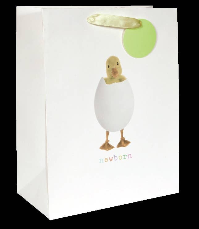 The Unique Paper Company - Wholesale Gift Bag - Little Ones Gift Bags For New Baby Kids Birthday Christening1