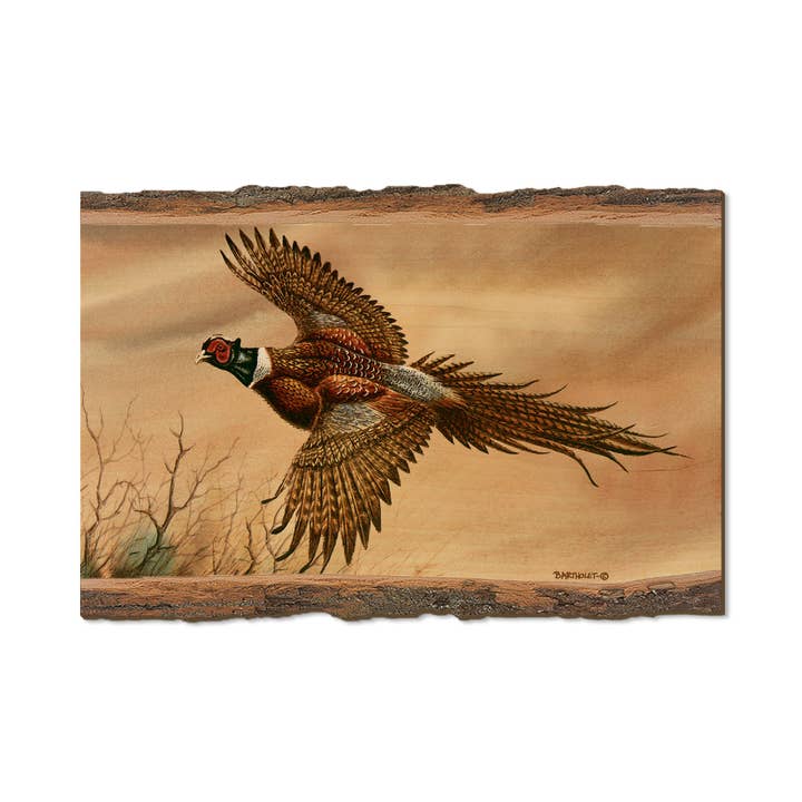 Bartholet's Kaleidoscope Pheasant - Live Edge for wholesale by DaydreamHQ