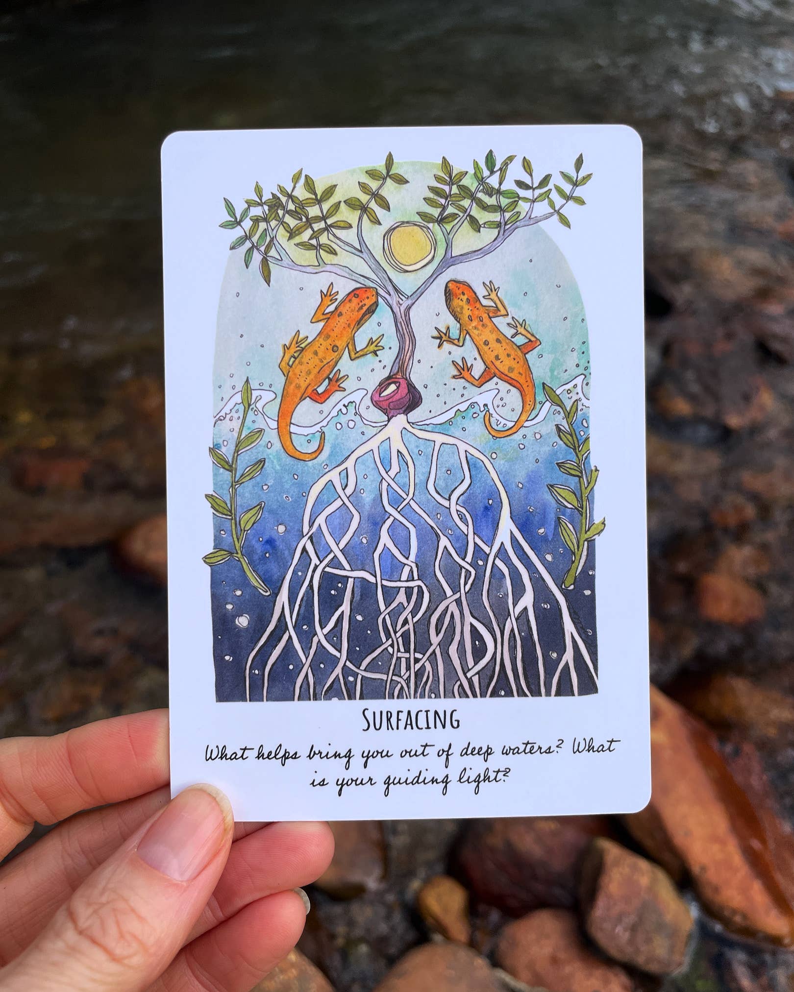 Kat Ryalls - Wholesale Tarot Cards - Phases and Forests Oracle Deck2