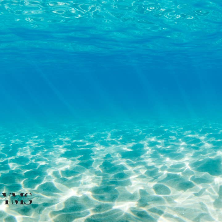 Enchanted Seas for wholesale by Y'all Make Scents