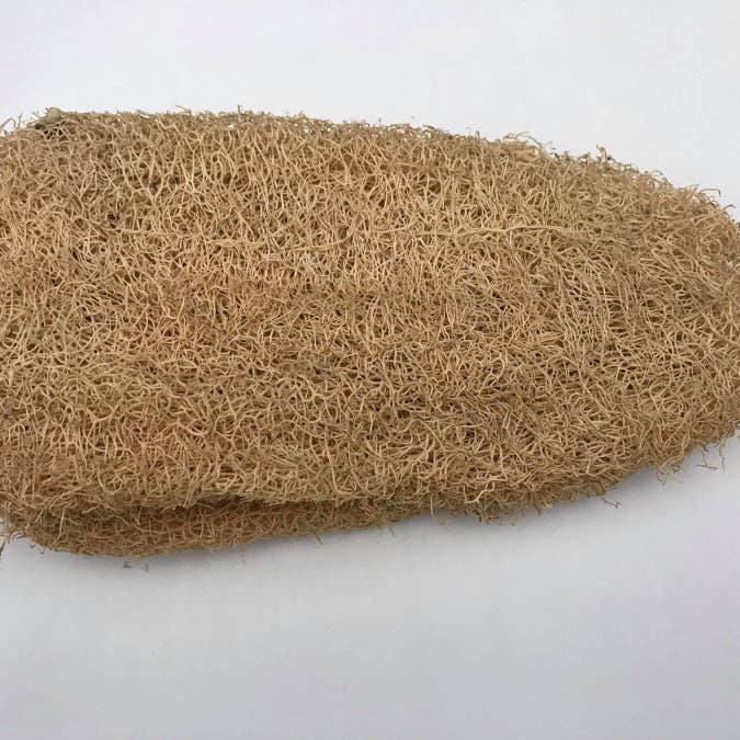 Complete luffa for wholesale by Éco-conseils