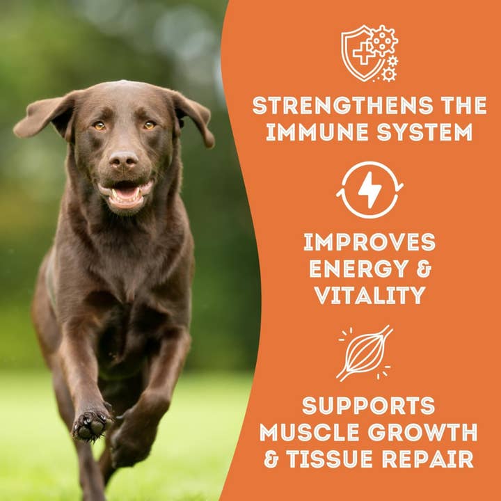 The Granville Island Pet Treatery (USA) - Wholesale Pet Treats - Dog - Pork Liver Dehydrated Pet Treats: High-Protein & Omega-32