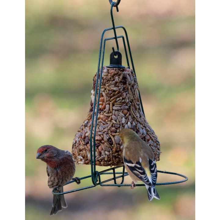 Mr Bird - Wholesale Bird Feeder - Seed Bell Hanger