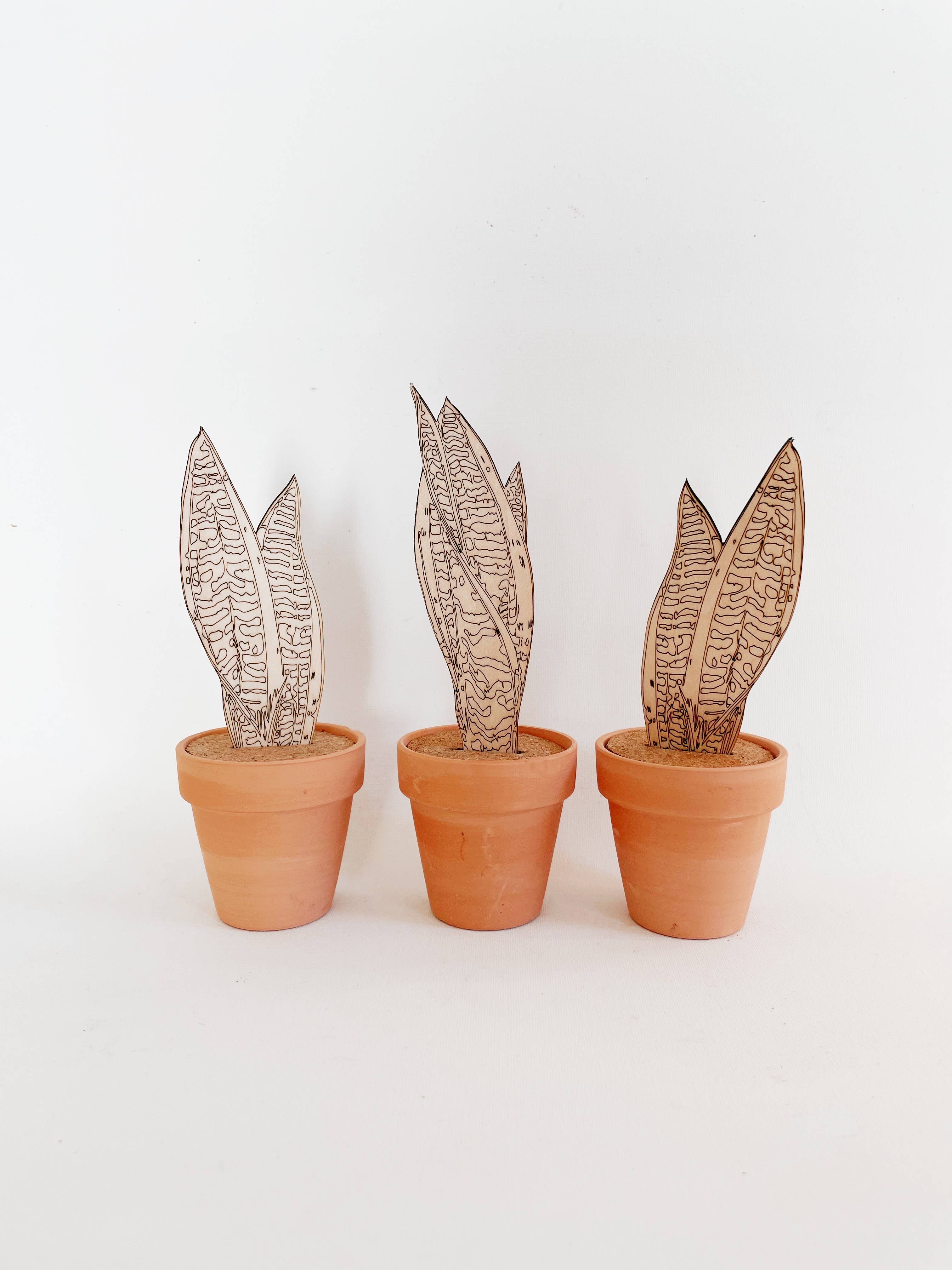 Dainty Little Tiny Things - Wholesale DIY Craft Kit - Paint Your Own: Snake Plant1