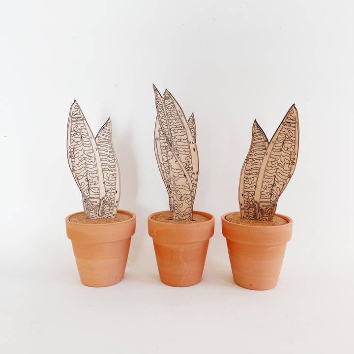 Dainty Little Tiny Things - Wholesale DIY Craft Kit - Paint Your Own: Snake Plant1