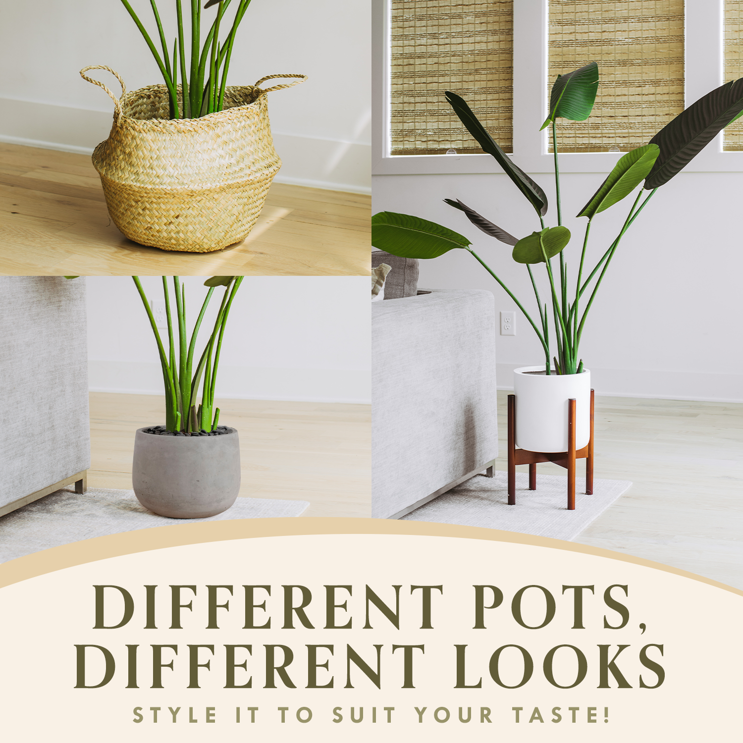 Forever Leaf - Wholesale Artificial Plant - Faux Bird of Paradise Tree 5 Feet3