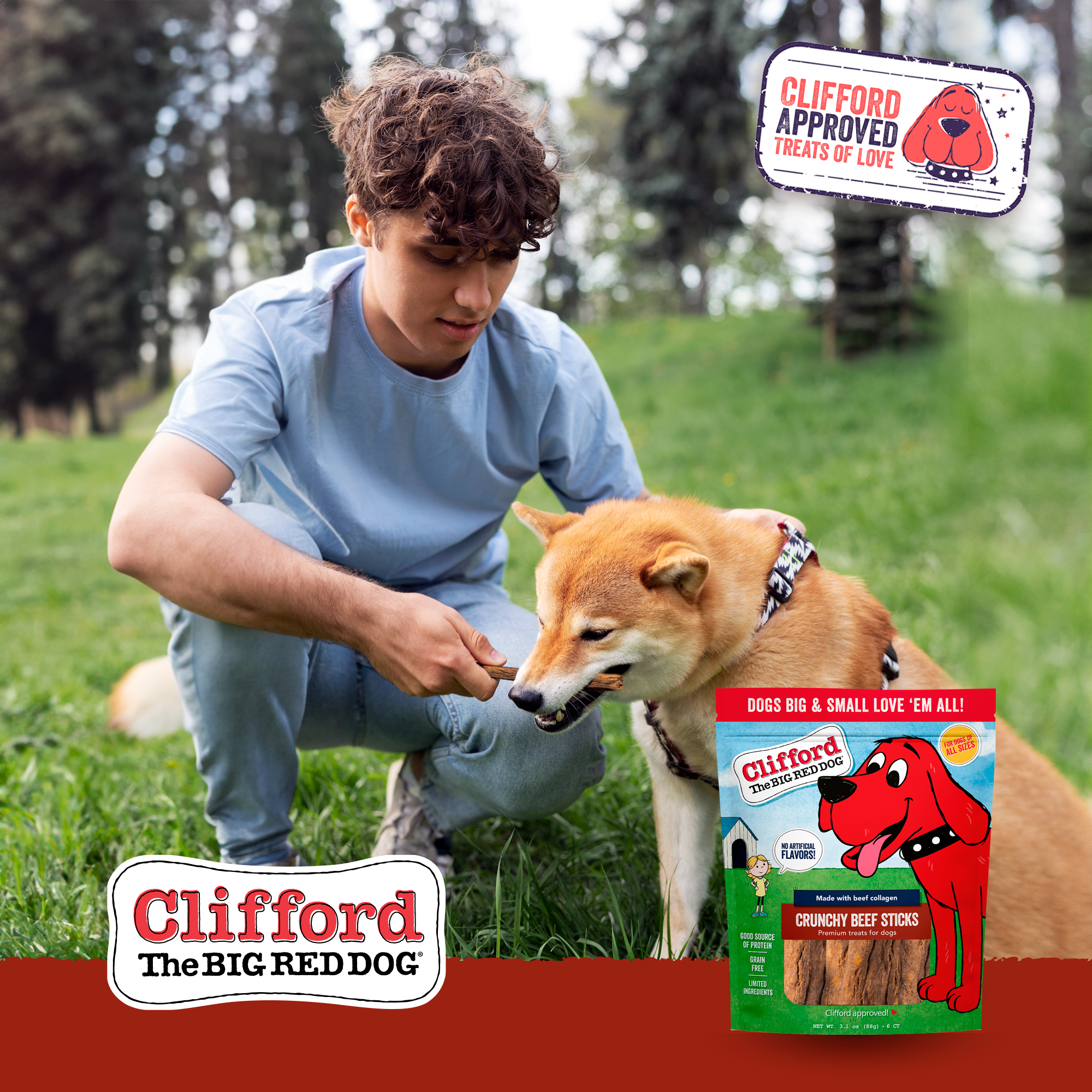 J&C PET SUPPLY LLC - Wholesale Pet Treats - Dog - Clifford The Big Red Dog Crunchy Beef Sticks 6 ct Dog Treats7