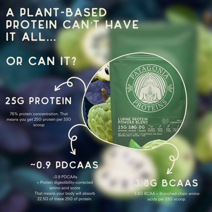 Patagonia Proteins - Wholesale Protein/Superfood Powder - Inca Cherimoya Lupine Protein4