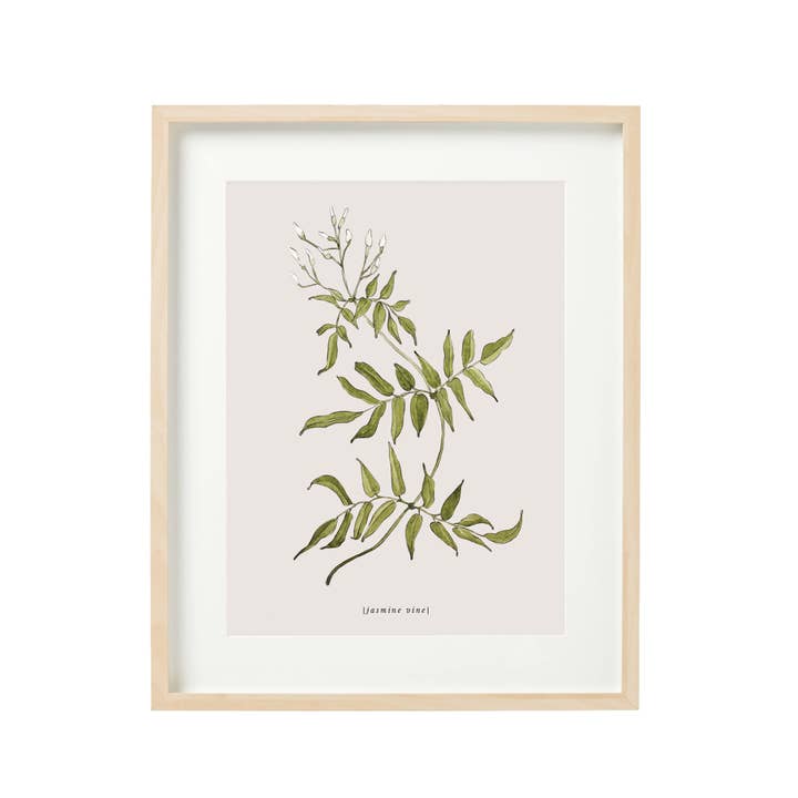 Jasmine Vine Art Print for wholesale by Common Silver