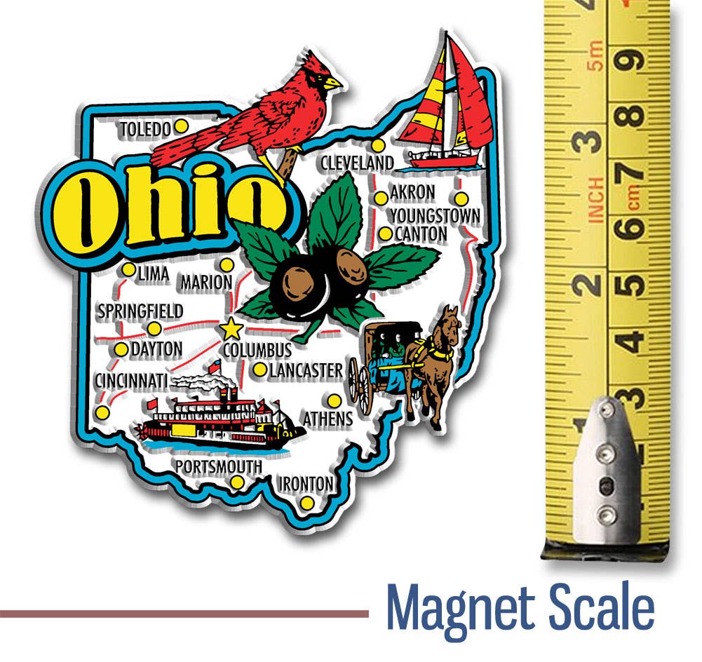 7 Star - Wholesale Magnet - Ohio Jumbo State Magnet, Made in USA1