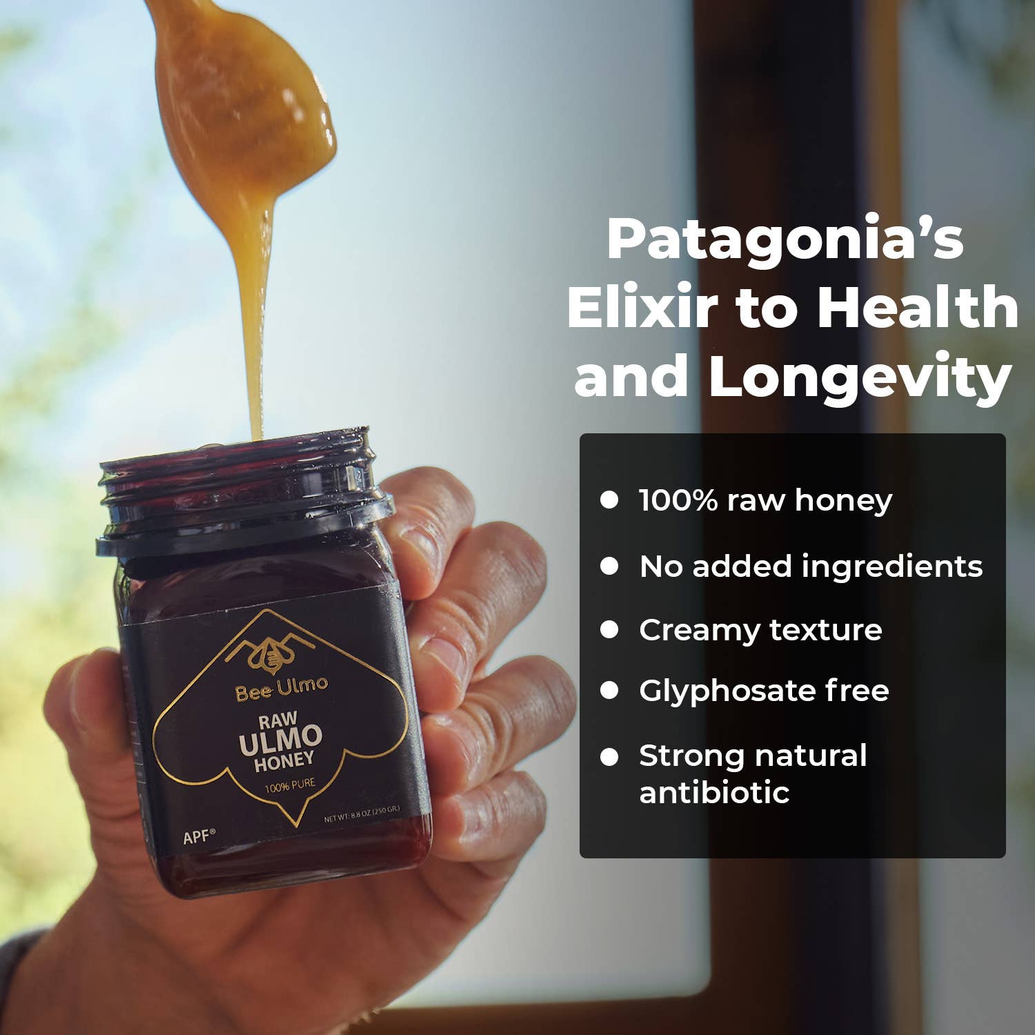 Bee Ulmo - Wholesale Honey - BEE ULMO Honey APF 100+. Support Your Immune System4