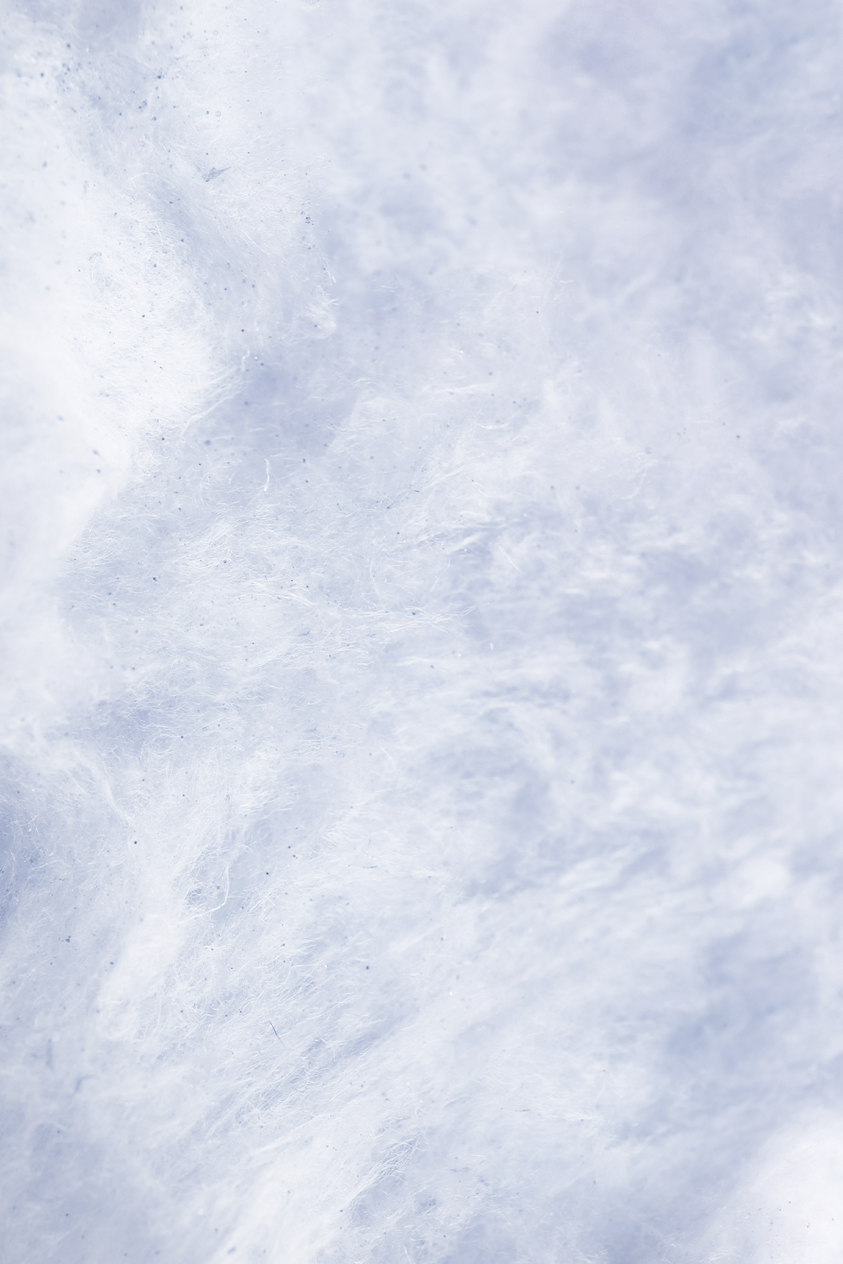 Flossie - Wholesale Cotton Candy - Salty Sweet Cotton Candy2