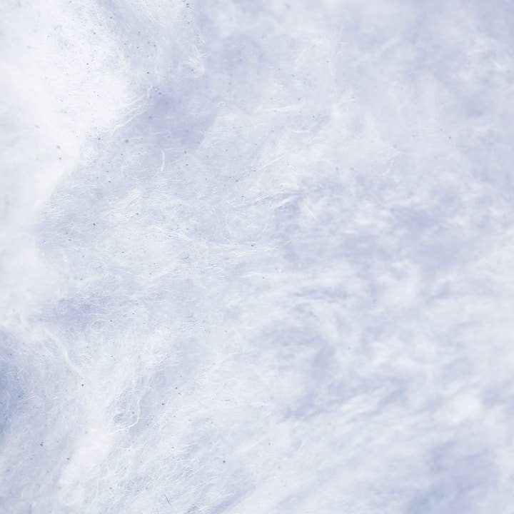 Flossie - Wholesale Cotton Candy - Salty Sweet Cotton Candy2