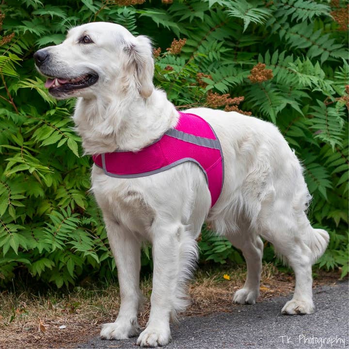 FINNERO - Wholesale Pet Vest - Dog - FINNERO ATTE Reflective Dog Attention Vest, 3 colors13