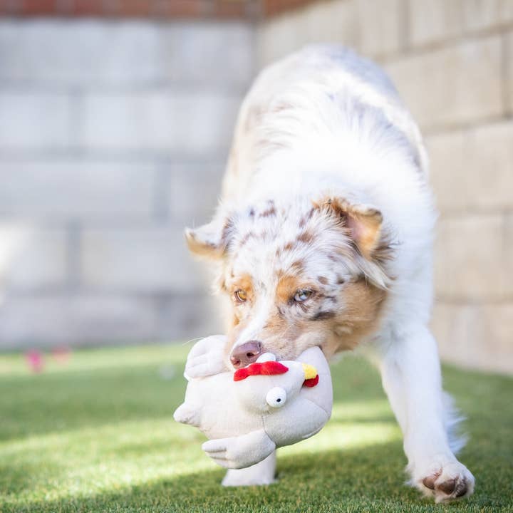 Downtown Pet Supply - Wholesale Knuffelspeeltje - Hond - 2-in-1 knuffelspeelgoed met haaien en kippen13