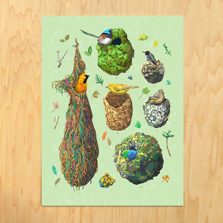 Nests, Educational Poster (White Background) for wholesale by The Sweet Dood