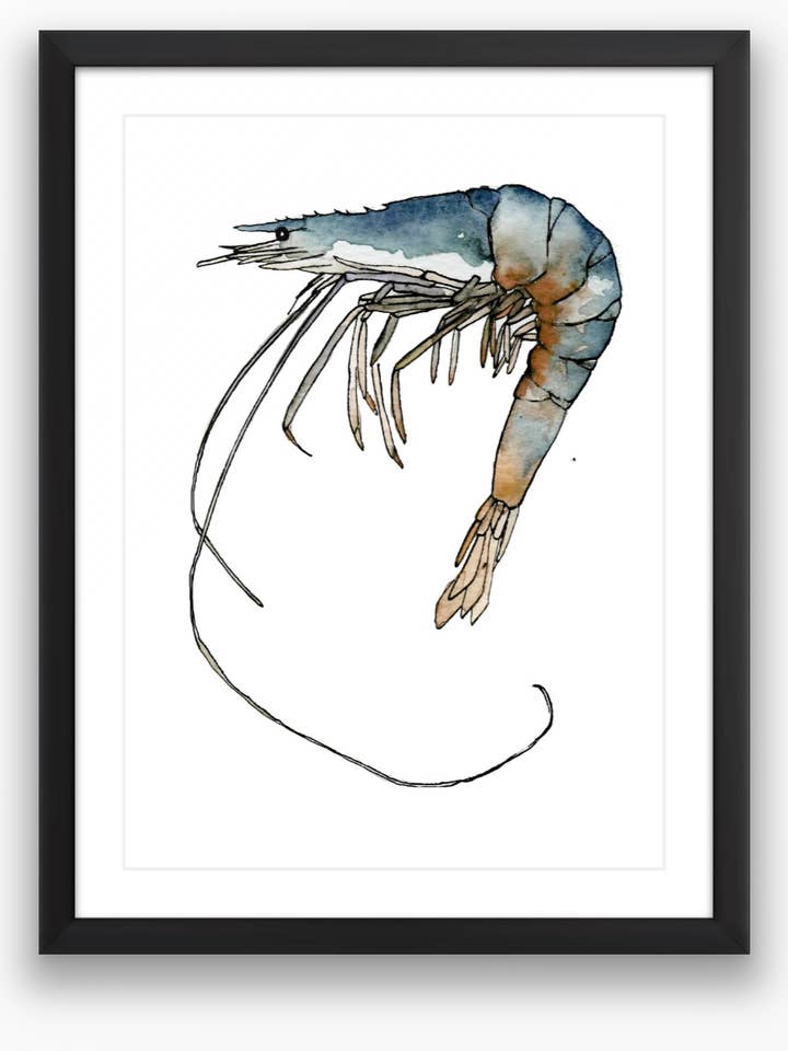 Shrimp Print for wholesale by Brienne Cosman Design