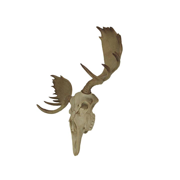 Zeckos - Wholesale Wall Accent - Large Lifelike Bull Moose Skull Hanging Wildlife Statue2