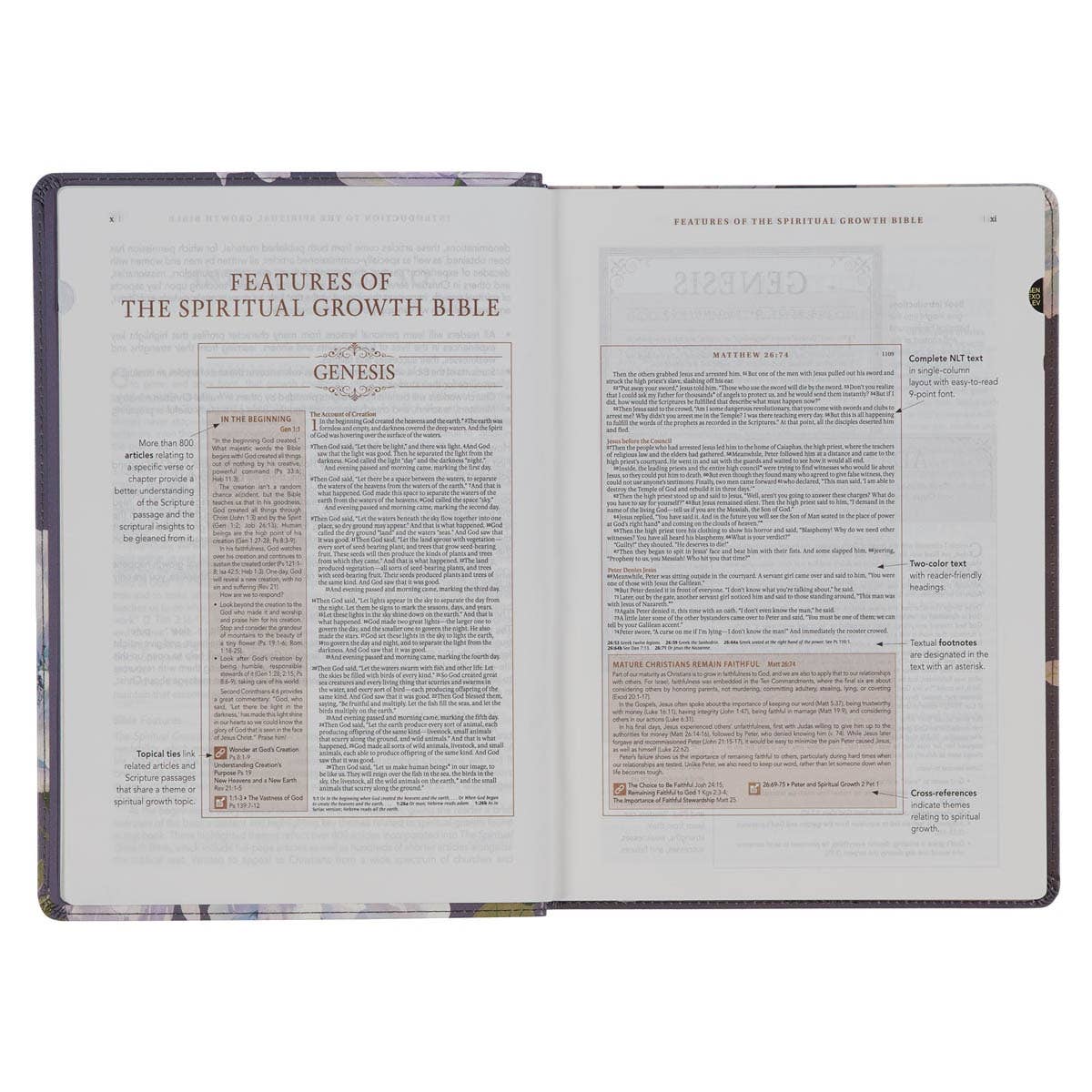 Christian Art Gifts - Vente Religion - Traduction de la Bible sur la croissance spirituelle, New Living, bleu ardoise4