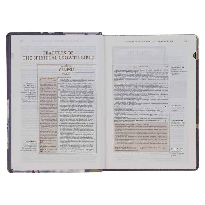 Christian Art Gifts - Vente Religion - Traduction de la Bible sur la croissance spirituelle, New Living, bleu ardoise4