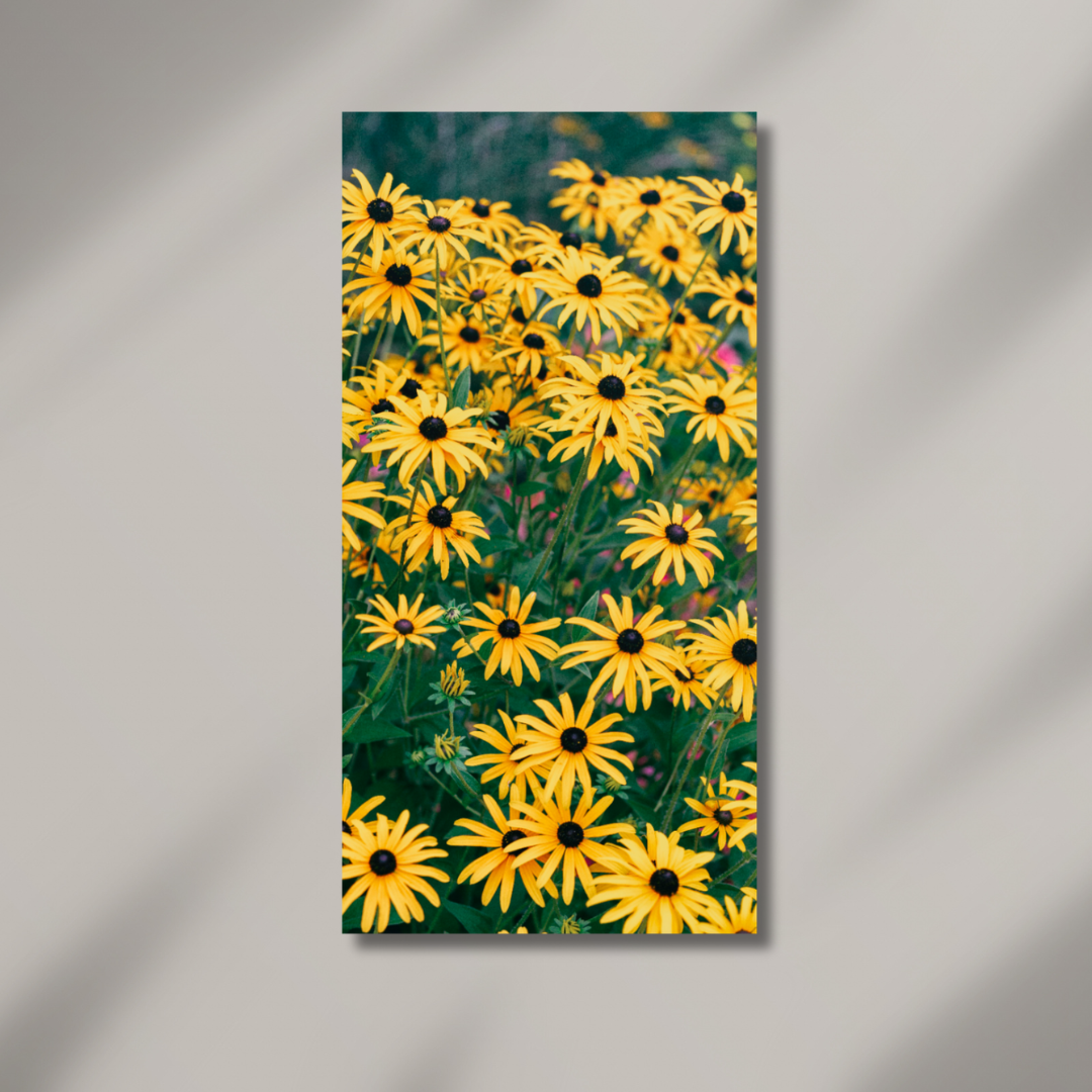 Alexis Arnold Photography - Wholesale Art Print - Acrylic Wall Art Yellow Flowers1