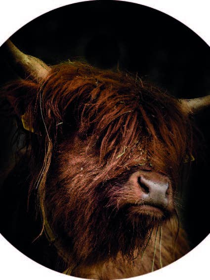 Círculo de Parede Highlander 64 por atacado de Gewoon ZieZo