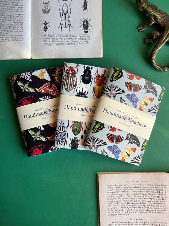 Insect Pocket Notebook Set for wholesale by Tansy Moore