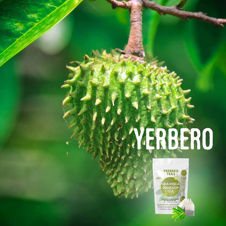 YERBERO - Wholesale Loose Tea - Yerbero - Whole Wildcrafted Dried Graviola Soursop Leaves 1 LB (453g - 1300+ Leaves Per Bag)5