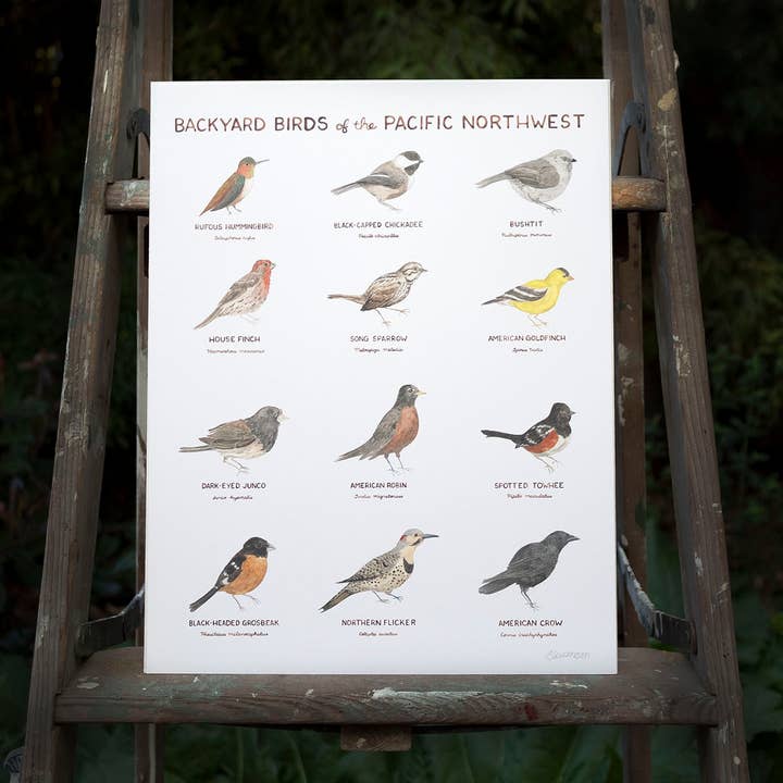 Yardia - Wholesale Art Print - Pacific Northwest Backyard Birds - 11 x 14 Birding Art Print1