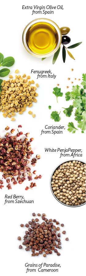 Lady Joseph - Wholesale Crackers - Spiced crackers for cheese. 130g 4.5oz6