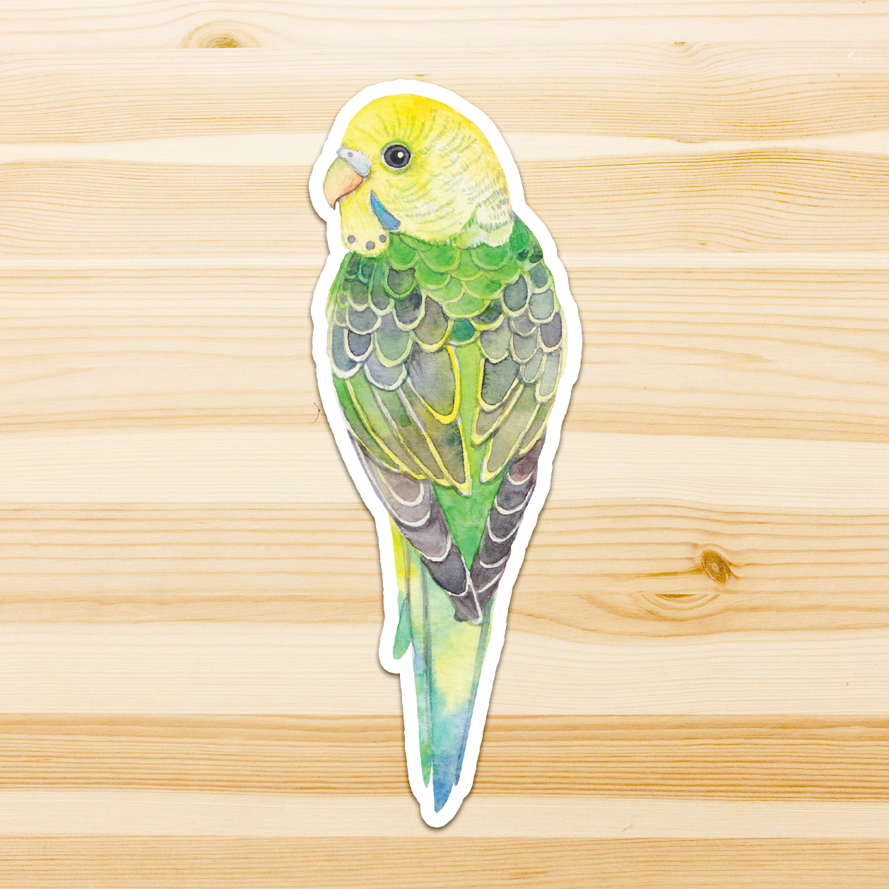 Watercolour By Cat - Vendita all'ingrosso Adesivo - Adesivo in vinile con grande uccello australiano27