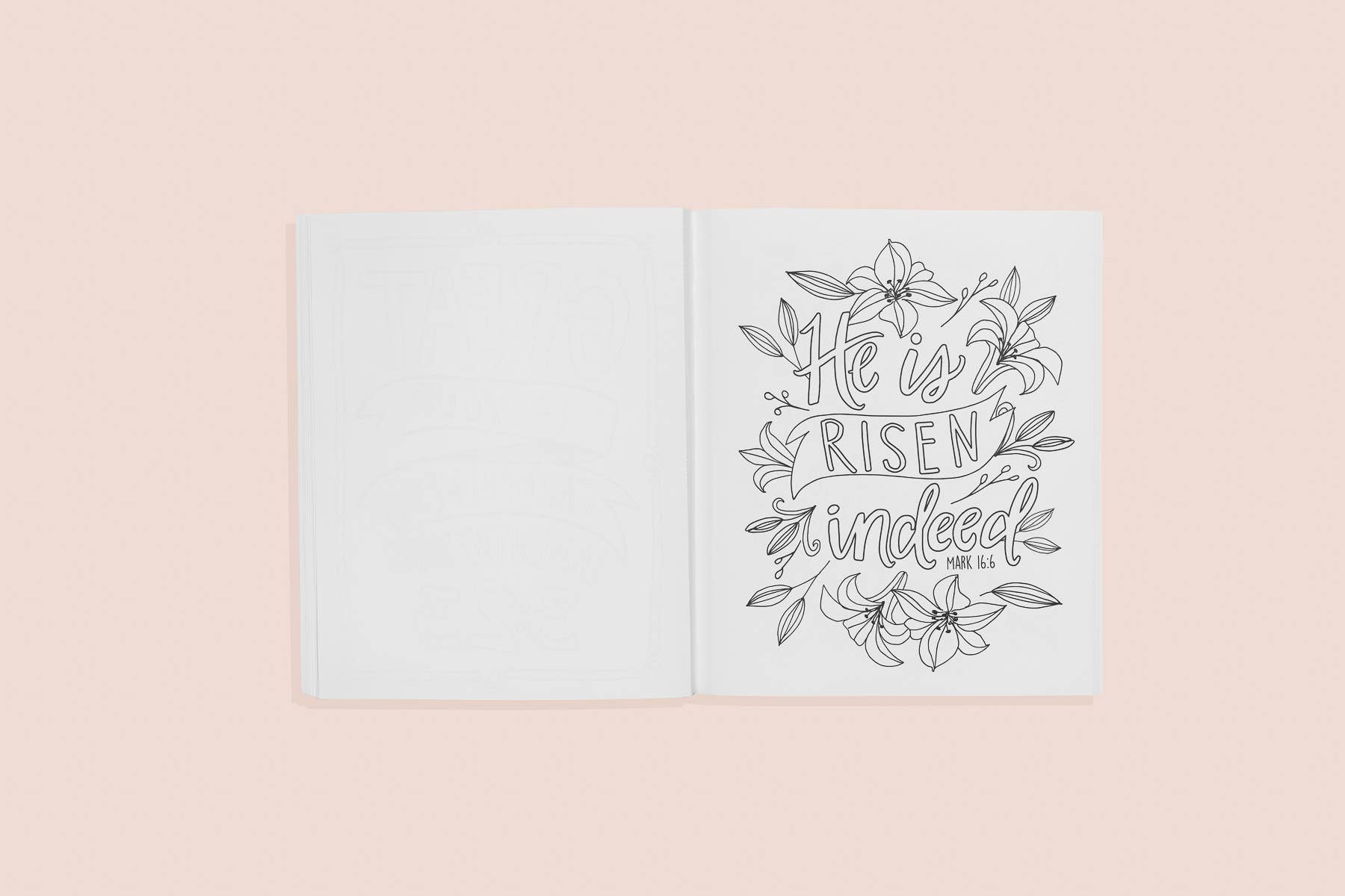 Paige Tate Christian Gifts – wholesale Colouring and activity book – adult – Beauty in The Bible, Volume III (Christian Coloring Book) 1