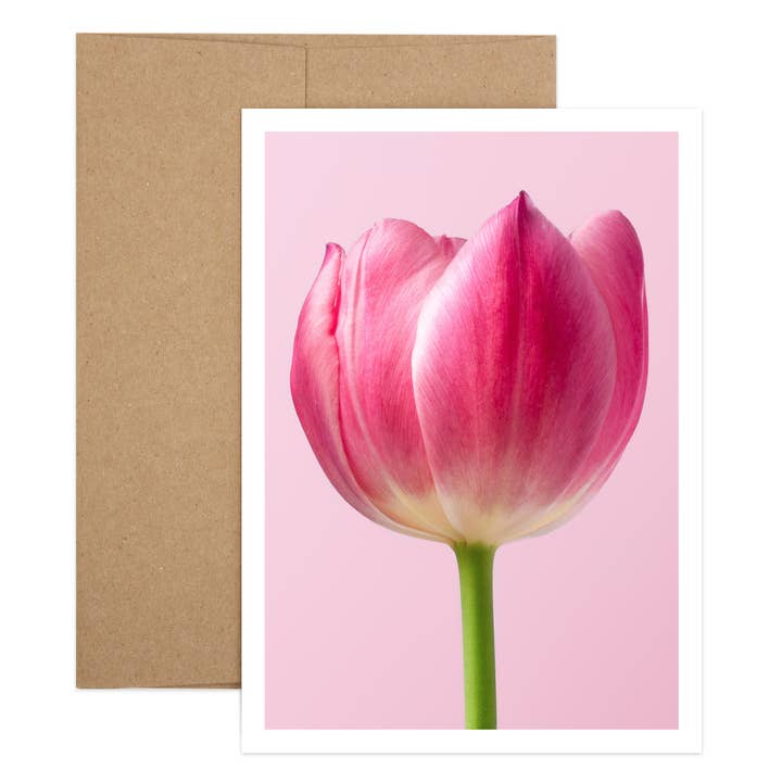 Ny! Tulpan Sympati för wholesale av Salty Dog Publishing