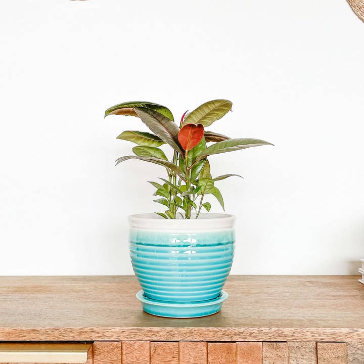 Hycroft Home Decor - Wholesale Plant Pot - Lia Ceramic Planter Pot, Drainage Hole and Attached Saucer