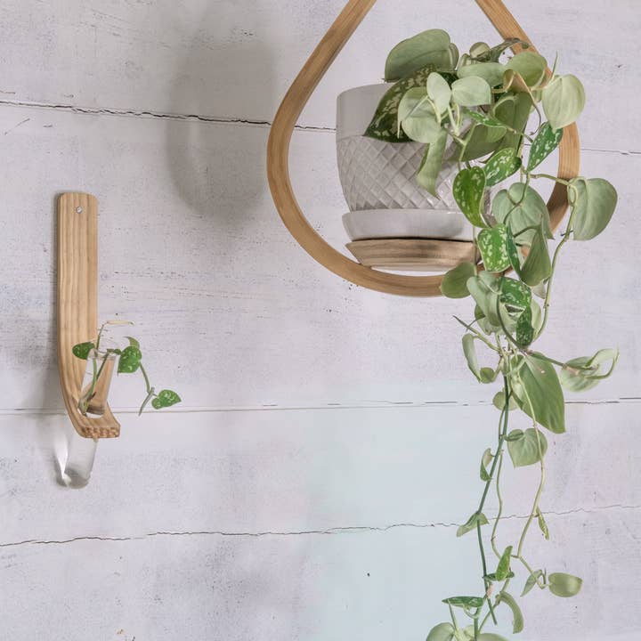 Horsemen Co. - Wholesale Wall Planter - Single Propagation Station with Tube7