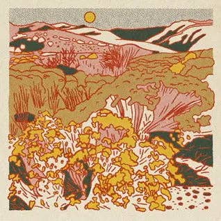 Morning Desert Postcards- Single Design for wholesale by Caroline Clark