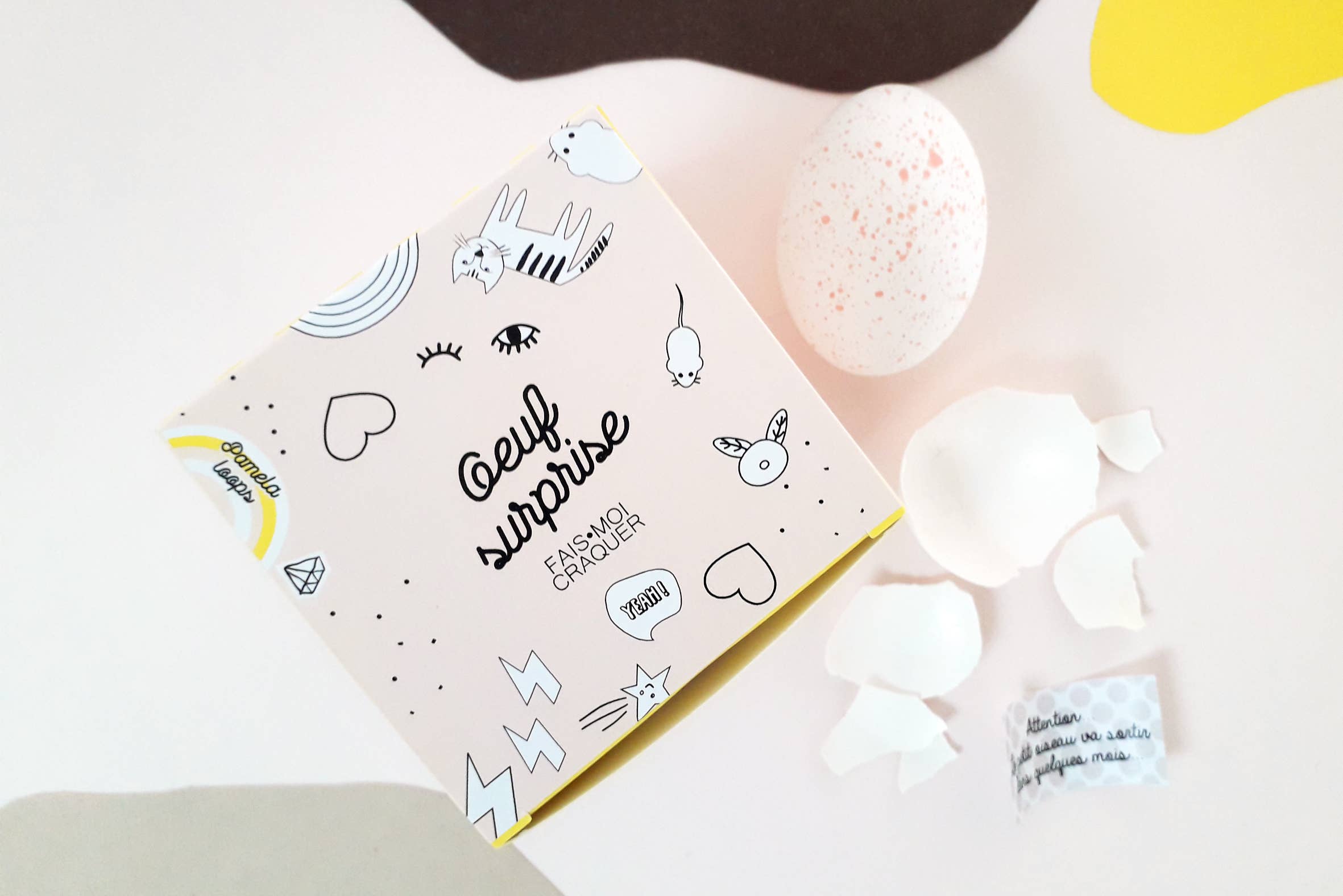 Pamela Loops - Wholesale Gag Gift/Novelty Gift - Oeuf message à craquer4