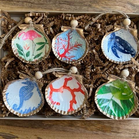 Coastal Mini Shell 6 Pack for wholesale by DogFish Design 13