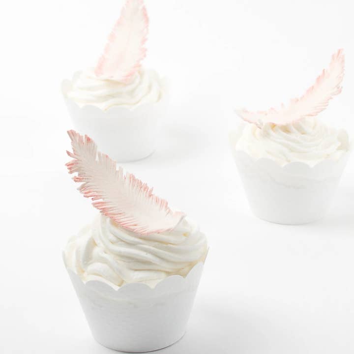 Summitbaking - Wholesale Cake Decorating Kit - Feather Texture Sheet Set3