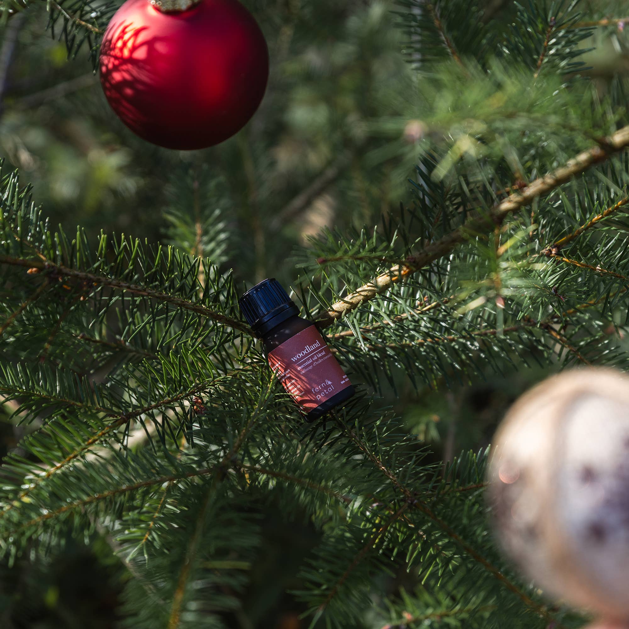 Fern & Petal - Wholesale Essential Oil - Woodland - Essential Oil Blend - Spruce, Cedarwood & Fir1