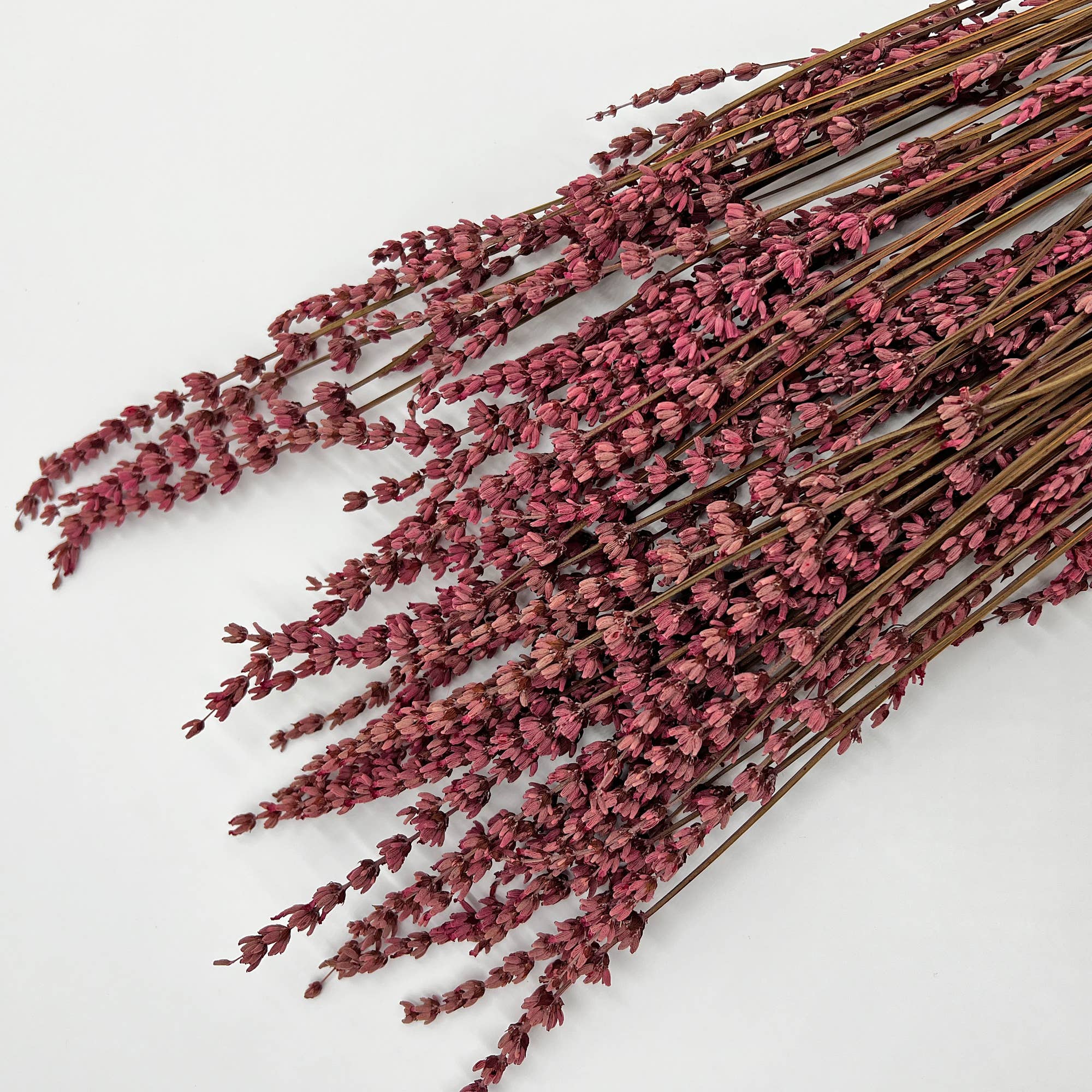 2626 Designs – Engroshandel Tørrede/pressede blomster – Tørrede konserverede lavendelbuketter, 53 cm, flere farver18