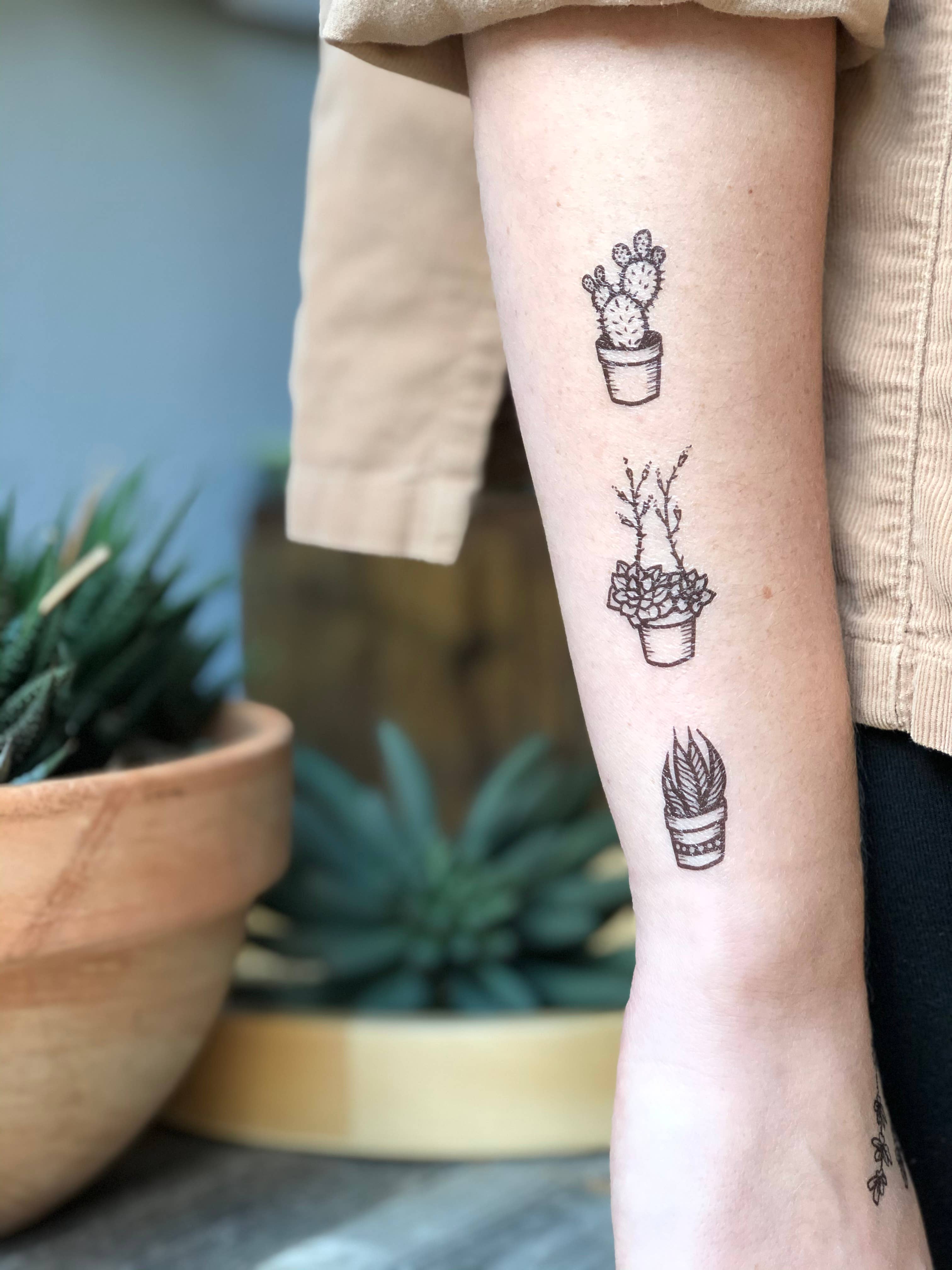 Destiny Tattoo - Cute little cactus done by Konstantinos @muramasa_kt. -  Thank you @_.isare_ for your trust! - @destinytattoo #tattoo #tattooed  #fresh #freshtattoo #cactus #cactustattoo #plants #tattooideas #tattooart  #minimaltattoo #smalltattoo ...