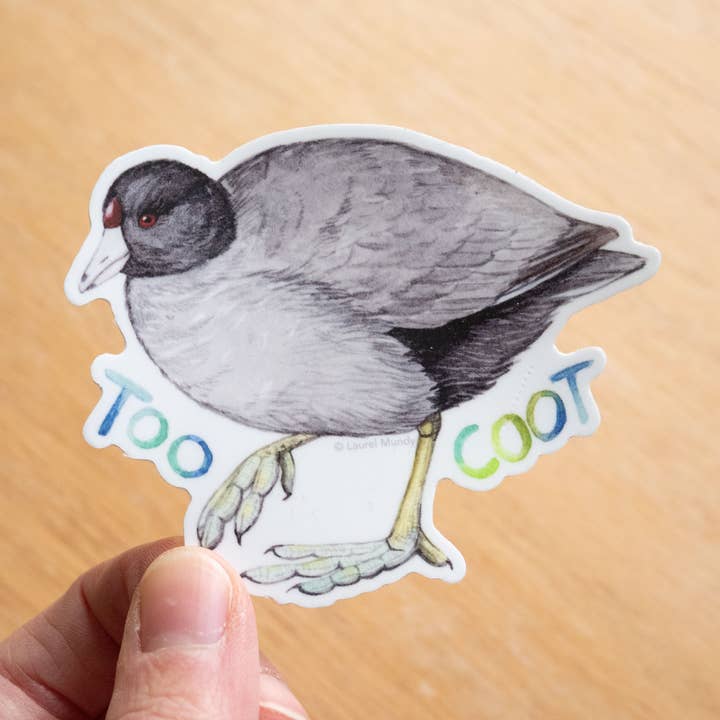 Too Coot! American Coot 3" Medium Vinyl Sticker for wholesale by Laurel Mundy Illustration