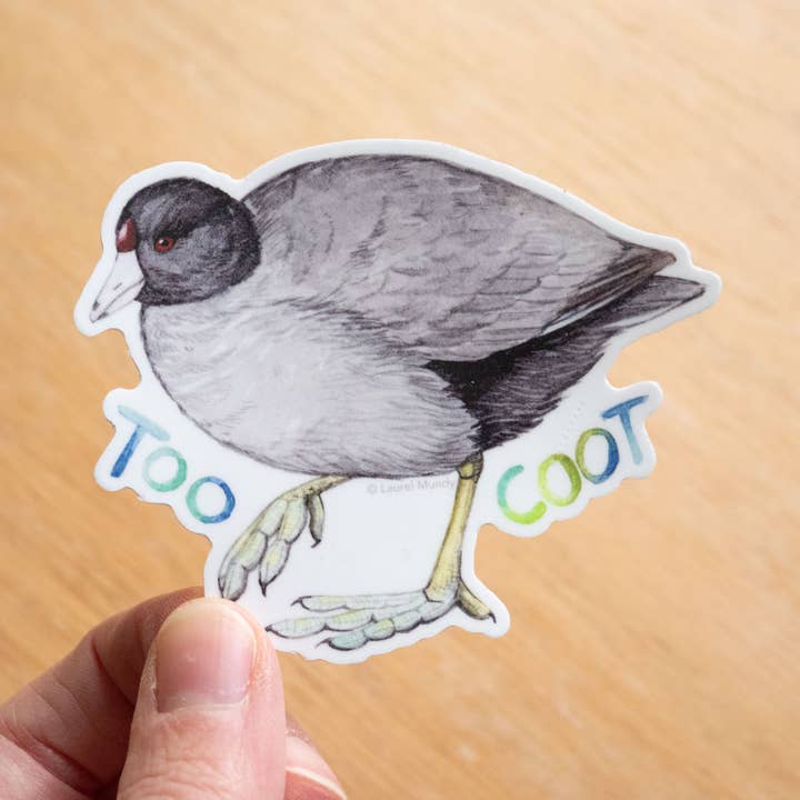 Too Coot! American Coot 3" Medium Vinyl Sticker for wholesale by Laurel Mundy Illustration