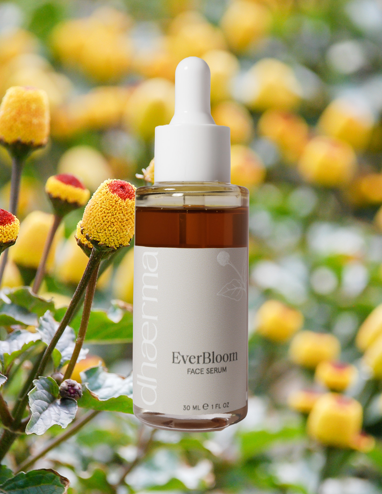 Dhaerma Skin - Wholesale Facial Oil - EverBloom | Face Oil6