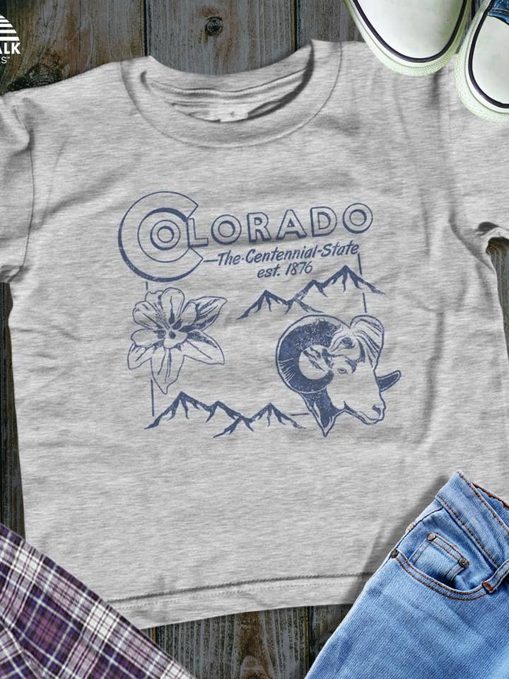 Youth Vintage Colorado State T-Shirt for wholesale by Boredwalk
